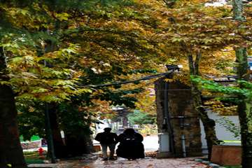 پاییز در دانشگاه علوم بهزیستی و توانبخشی